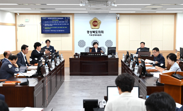 경북도의회 기획경제위원회 회의가 지난 상임위 회의장에서 열렸다. 사진은 이선희 위원장(가운데)이 회의를 주관하는 모습. 경북도의회 제공