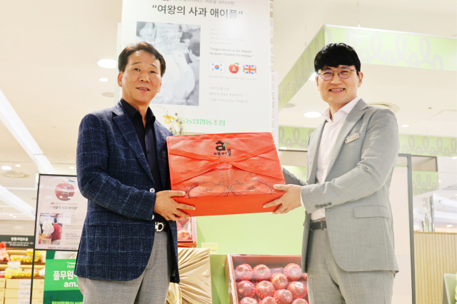 안동농협의 프리미엄 사과 브랜드 