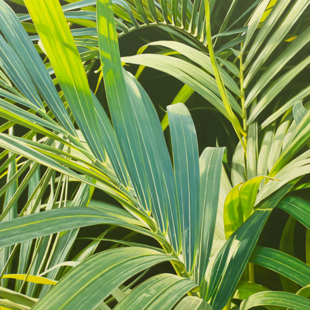 지철형, 자연의 화희 palmleaf, Oil on Canvas, 72.7x72.7cm