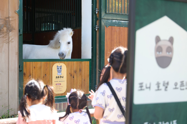 한국마사회는 26일 