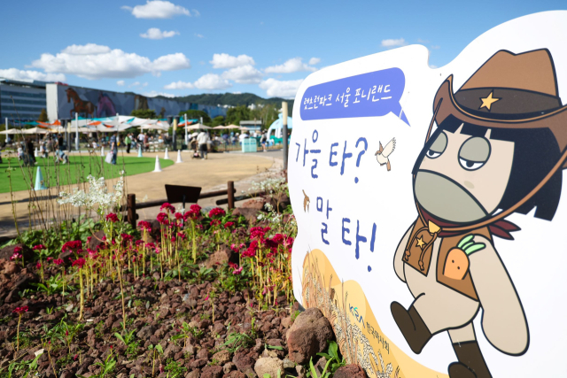 한국마사회는 26일 