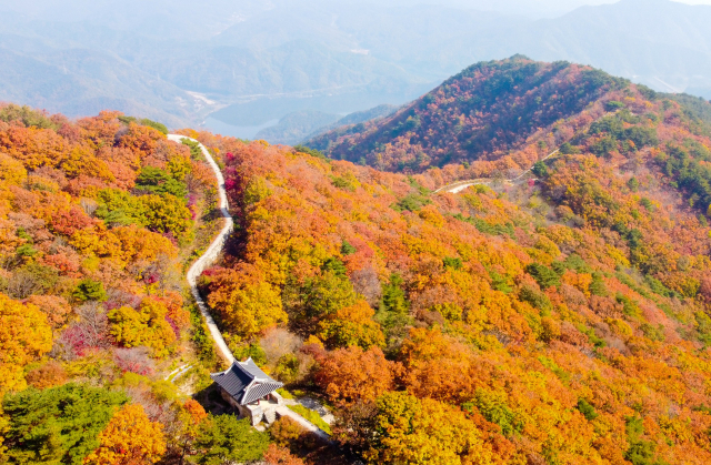 독용산성길. 가을 단풍을 즐기기엔 안성맞춤이다. 성주군 제공