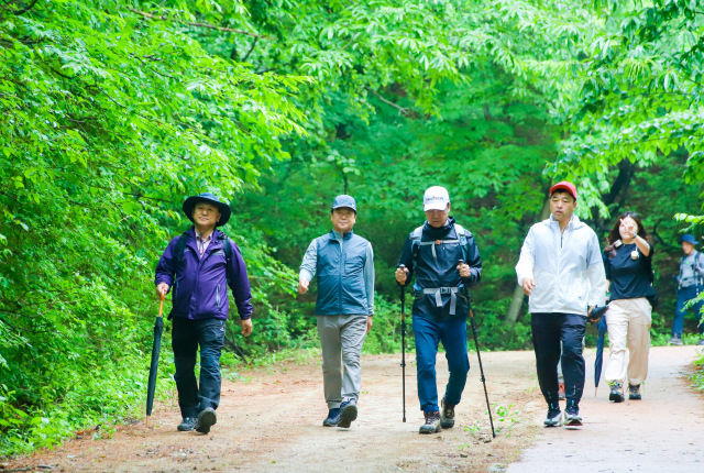선비산수길. 남녀노소 누구나 사색하며 편안하게 걸을 수 있다. 성주군 제공