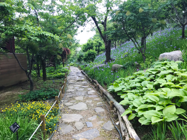 성주가야산 야생화식물원. 유리온실 속에서 사시사철 야생화를 감상할 수 있다. 성주군 제공