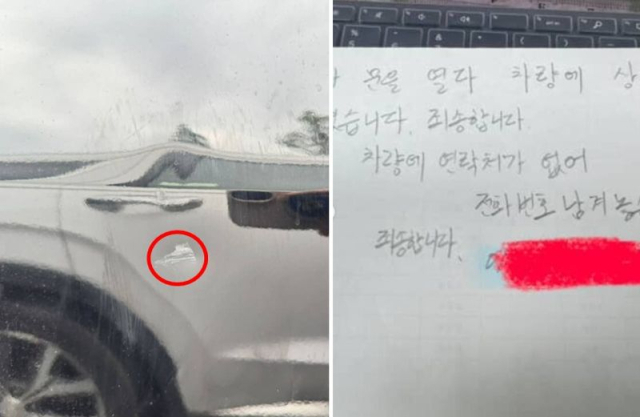 보배드림 캡처