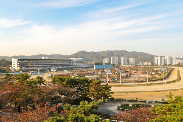 렛츠런 파크 서울 전경. 한국마사회 제공