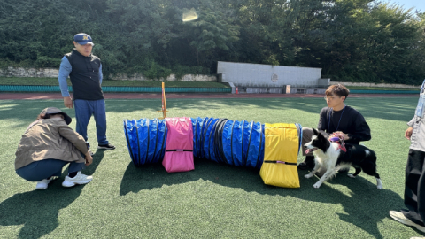 반려동물과 즐기는 입시…대경대, 면접·실기고사를 축제형으로