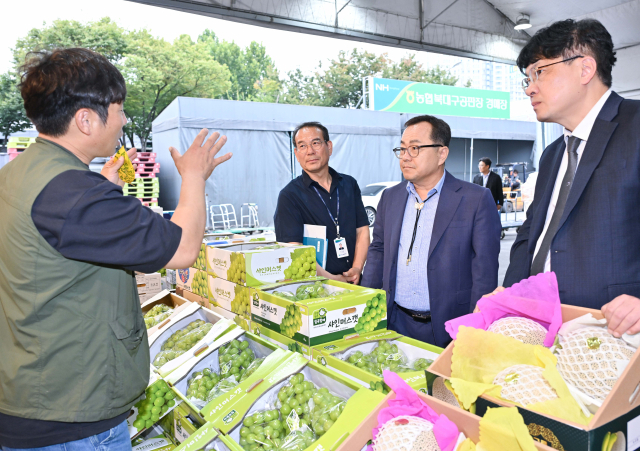 2일 대구 북구에 있는 대구농수산물도매시장을 찾은 홍성주 대구광역시 경제부시장이 추석 성수품 수급 상황과 주요 농수산물의 가격 동향을 점검하고 있다. 대구농수산물도매시장 제공.