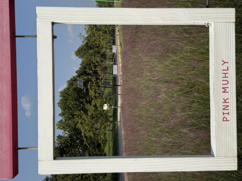 '가을정원' 변신한 낙동강체육공원…추석연휴 나들이객 유혹