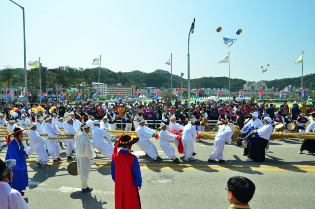 봉화송이축제에서 열린 삼계줄다리기. 봉화군 제공