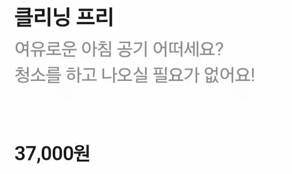 국내 펜션에 등장한 