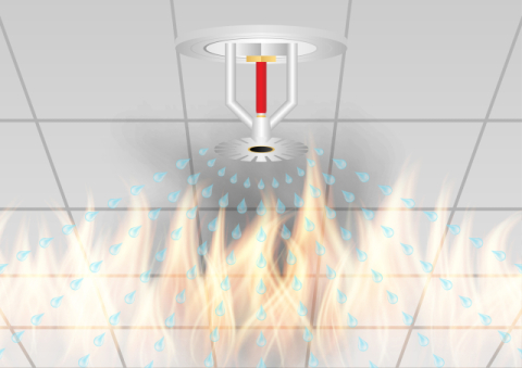 작년 학교 기숙사·특수학교 10곳 중 3곳 스프링클러 미설치