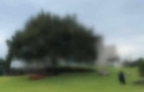 제주 연예인 카페, 불법 산지전용 논란…