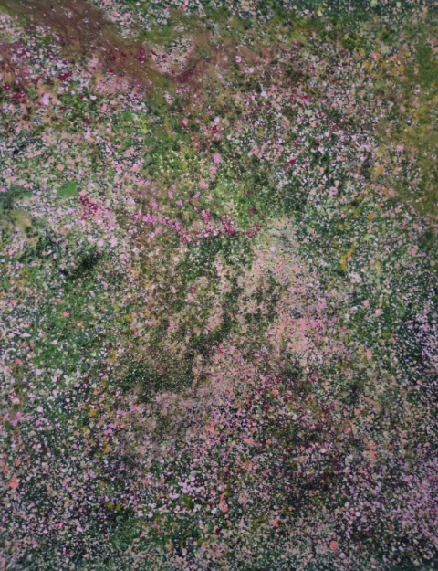 권계숙, 순수무아, 2025, 72.7×72.7cm, 혼합재료, 2025