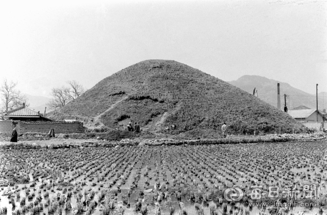 1973년 4월 6일 문화재관리국(현 국가유산청)이 경주 미추왕릉지구 발굴조사단(현 국립경주문화유산연구소)을 조직해 발굴이 시작된 제155호분(천마총). 경주관광개발을 위한 국가 주도 첫 발굴조사였다. 사진=매일아카이빙센터