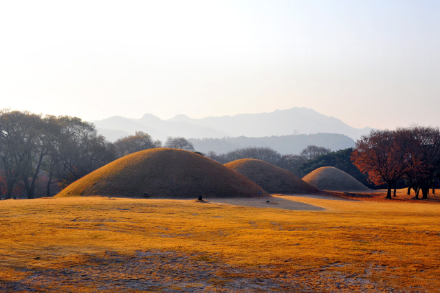 경주 대릉원 아침 풍경. 경주시청 제공.