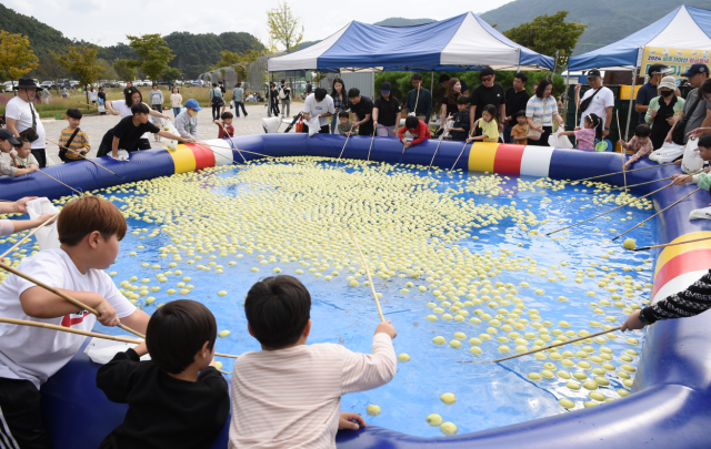 성주가야산 황금들녘 메뚜기축제장 방문객들이 사과 낚시를 하고 있다. 사진은 지난해 축제 장면. 성주군 제공