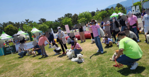 경남도, 10~11월 다양한 반려동물 축제 개최