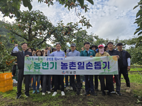 대구시 파동행정복지센터, 청도군 각남면서 감수확 도와