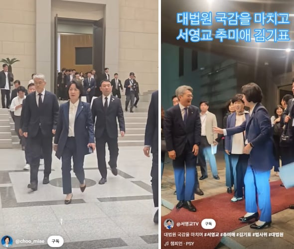 국회 법제사법위원회 소속 추미애, 서영교 더불어민주당 의원이 대법원을 방문한 과정에서 청사 내부를 찍은 쇼츠 영상을 만들어 홍보했다. 유튜브