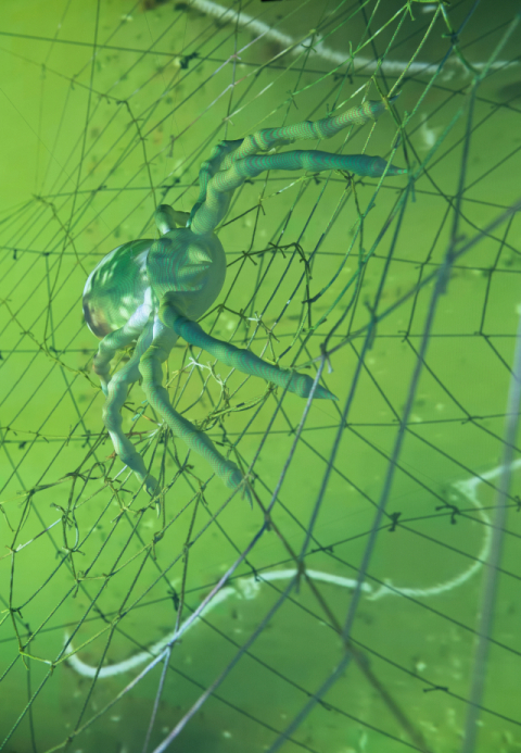 배문경, 이상한 나라의 상상이야기_맑음, mixed media, projection mapping, 3min movie_installation, 2025.