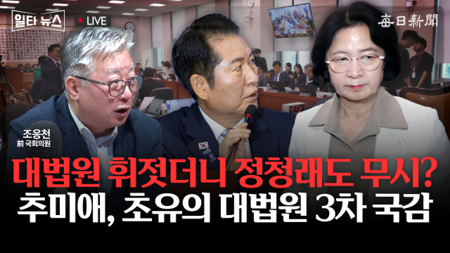 매일신문 유튜브 