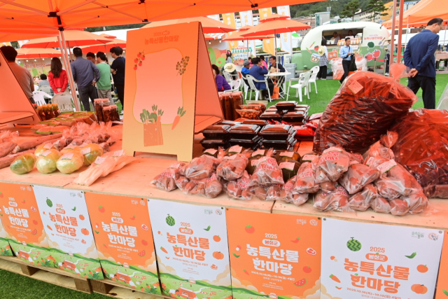 제29회 봉화송이축제가 19일 내성천 체육공원에서 열린 폐막식을 끝으로 4일간의 일정을 마쳤다. 봉화군 제공