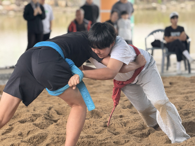 지난 18일 봉화군 내성천 송이축제장 씨름장에서 