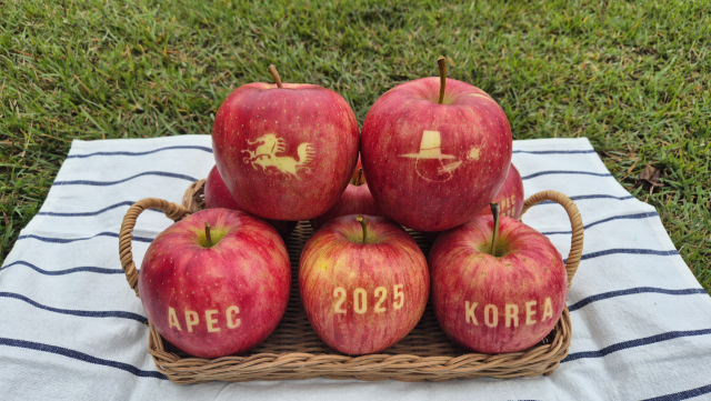 APEC 정상회의에 오를 경북 문자 사과. 경북도 제공.