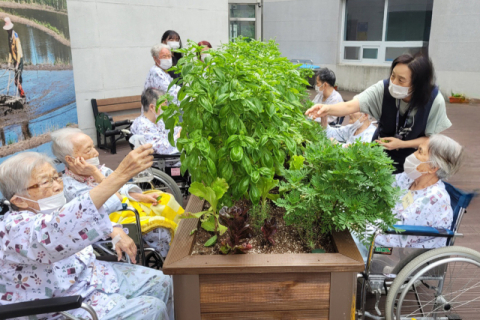 식물로 마음을 치유하다…대구한의대 '마음에 뿌린 씨앗' 10회기 마무리