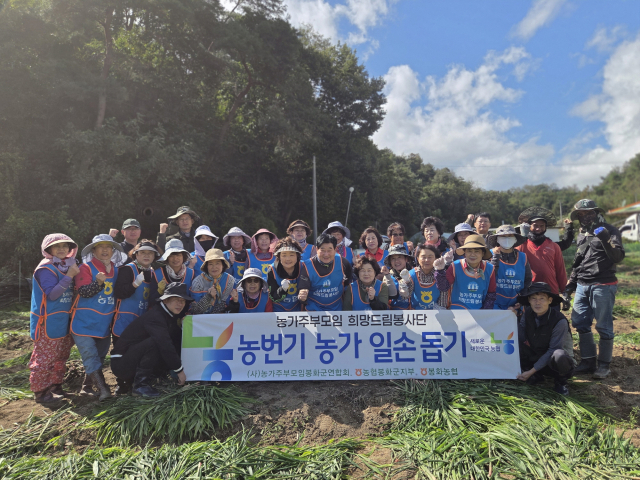 봉화농협은 20일, 임직원과 농가주부모임(회장 박귀옥) 회원, NH농협 봉화군지부(지부장 권오규) 등 40여명이 참여한 가운데 생강 수확 일손돕기 봉사활동을 펼친 후 기념촬영을 하고 있다. 봉화농협 제공