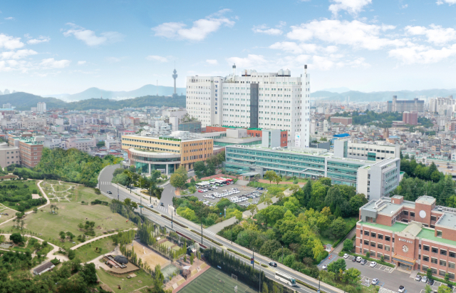 영남대의료원 전경. 대구문화예술진흥원