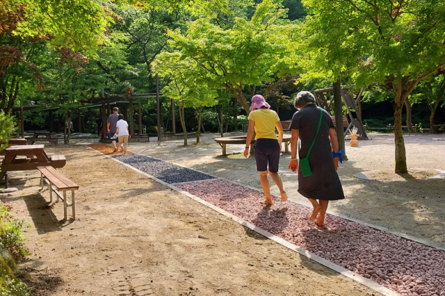 강천산 맨발걷기.순창군제공