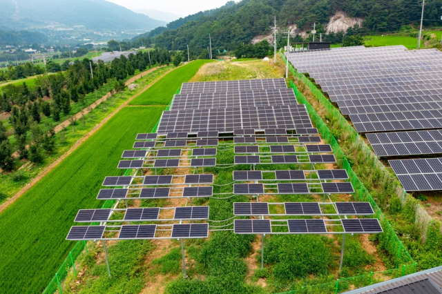 (주)비에스텍이 성공적으로 구축한 상주 영농형 태양광 실증단지. 비에스텍 제공