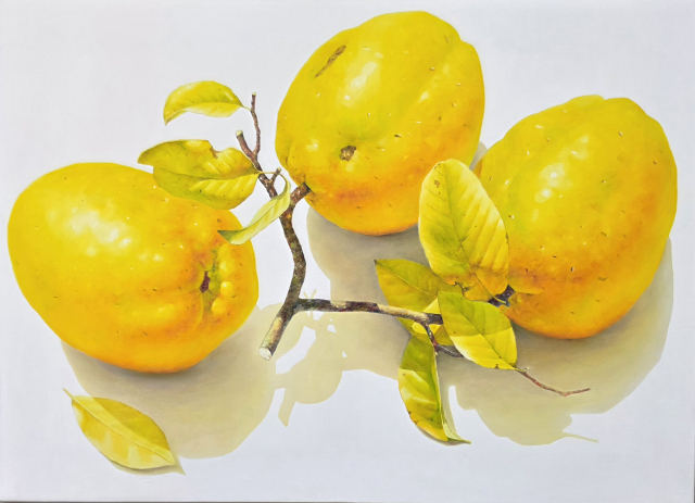 김광한, 향기가득, Oil on Canvas, 53x72.7cm, 2025