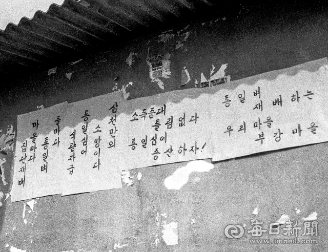 1972년부터 정부가 통일벼 재배를 적극 장려하면서 