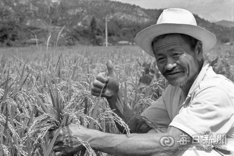 11월 14일 자 시사상식 퀴즈