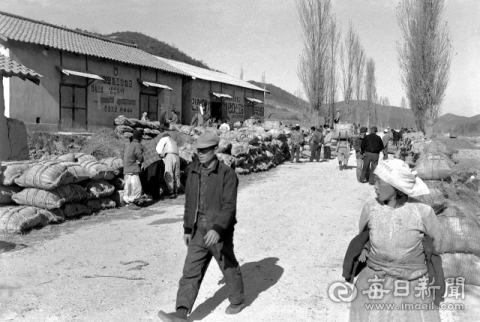 [김태형의 찰나의 순간 역사적 기록] <53> 1974년 통일벼 추곡 수매