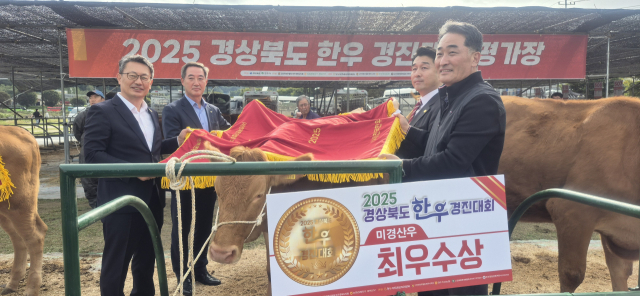 성주군, 경북한우경진대회 미경산우 부문 최우수상.