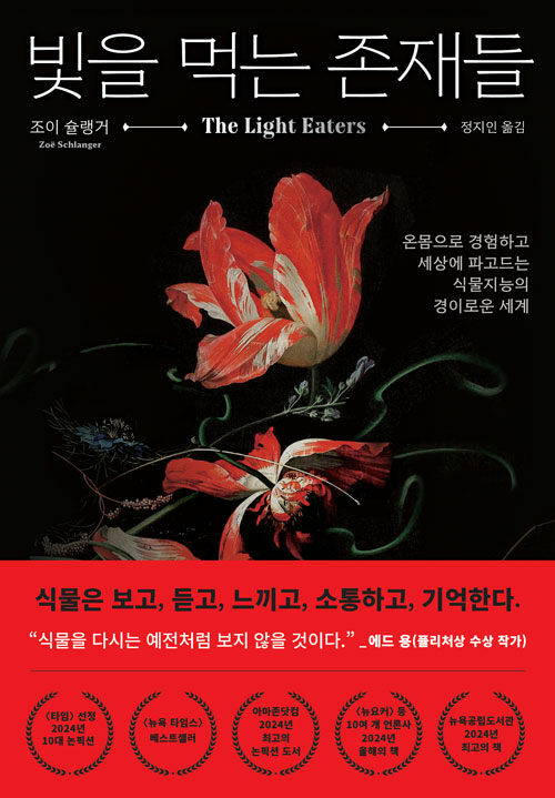 애기장대