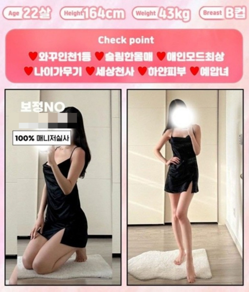 경찰이 공개한 오피스텔 성매매 사이트 여성 프로필 모습. 인천경찰청 제공