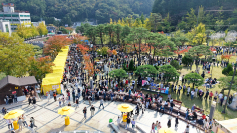 김천시 전체 인구 넘는 15만명 방문한 김천김밥축제 