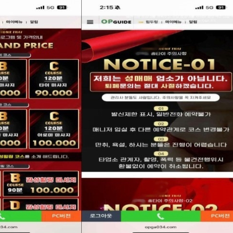 태국 女 이자율 90% 사채 빌려주고 성매매 강요한 일당