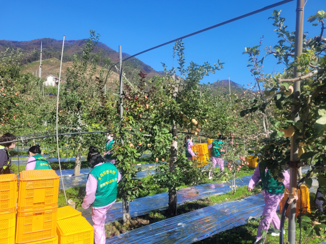 농협청송군지부와 청송농협, 경북북부제3교도소 소속