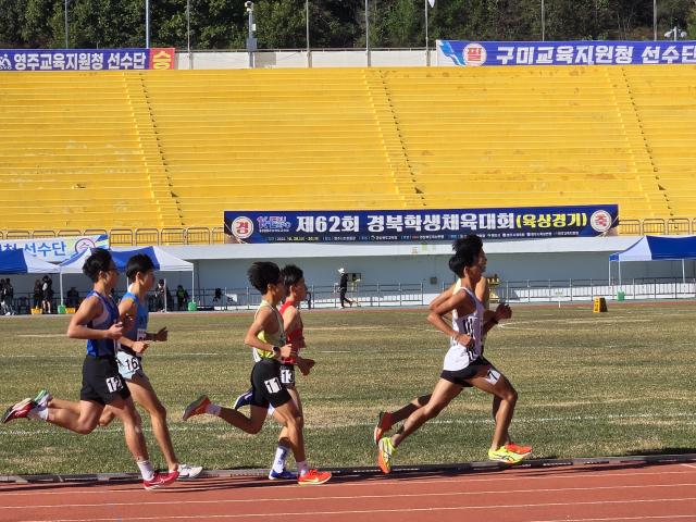경북학생체육대회 육상경기에 참가한 선수들이 기량을 선보이고 있다. 영주시 제공