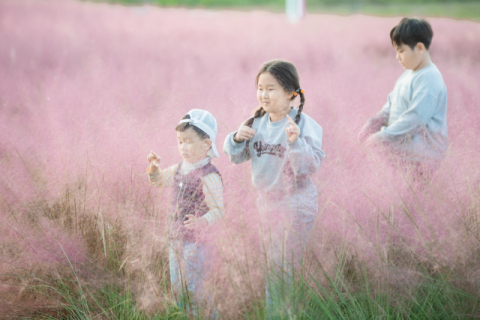 [포토뉴스]구미에 가을 꽃구경 오세요