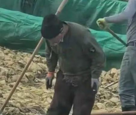 중국의 한 절임배추 공장에서 작업자가 담배를 피우고 침을 뱉고 있다. 바이두 갈무리