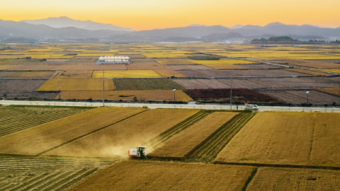 [우리들의 고향 의성] <14>기억 추억 그리고 음식