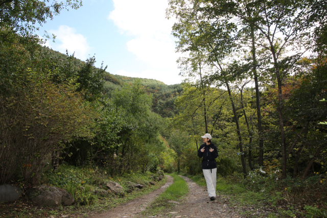 덕산기 계곡은 정선읍 덕우리에서 화암면 북동리를 잇는 약 12㎞의 물길이다. 계곡 옆으로 고즈넉한 숲길을 만날 수 있다. 김도훈 기자