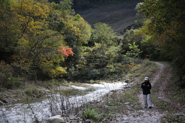 덕산기 계곡은 정선읍 덕우리에서 화암면 북동리를 잇는 약 12㎞의 물길이다. 계곡 옆으로 길이 나 있다. 김도훈 기자